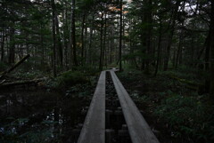 上高地 田代橋遊歩道