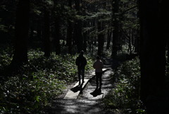 上高地 梓川右岸道