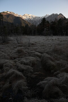 上高地 田代湿原