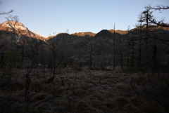 上高地 田代湿原