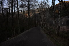 上高地 梓川コース