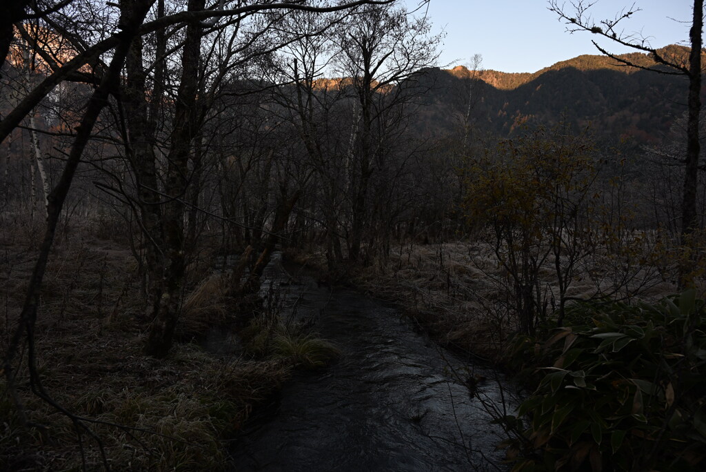 上高地 田代湿原