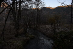 上高地 田代湿原