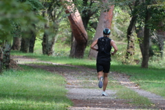 運動の秋