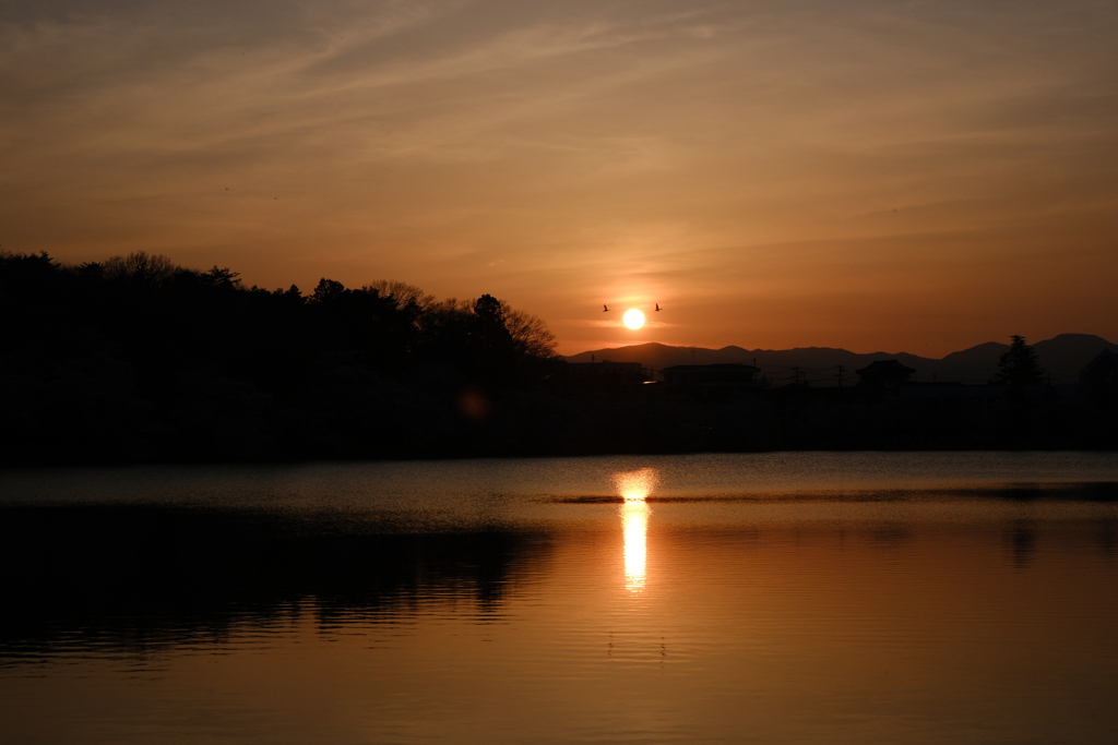 水面に反射する夕陽