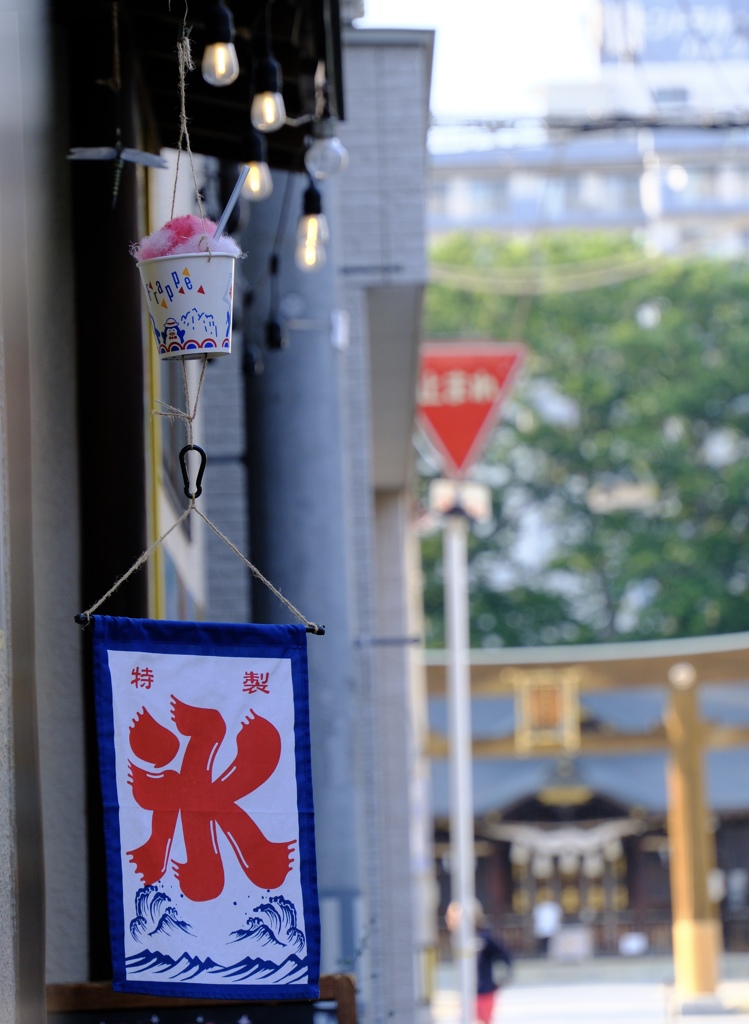 夏といえば...