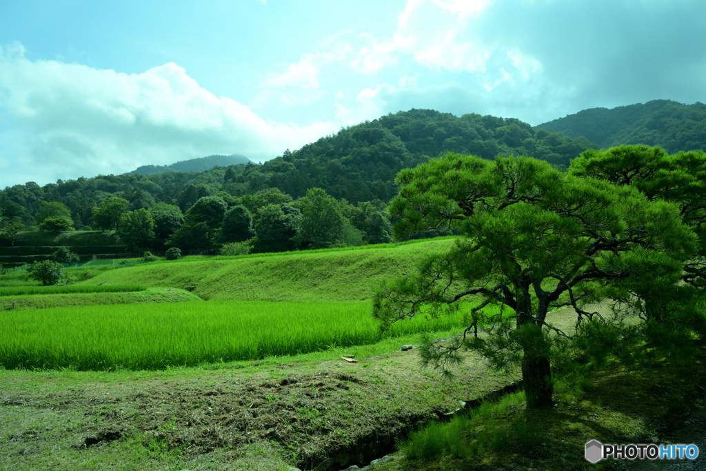 日本の伝統的な里山の風景美1