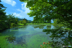 日本の伝統的な里山の風景美3