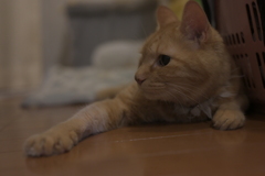 ん？