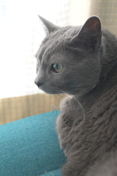 はなさん凛々しいわ