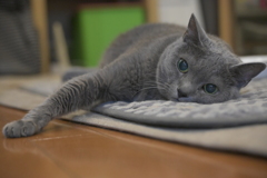 手、のびてます