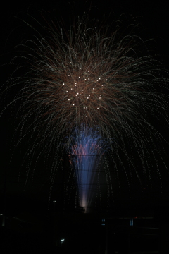 初めての花火撮影2