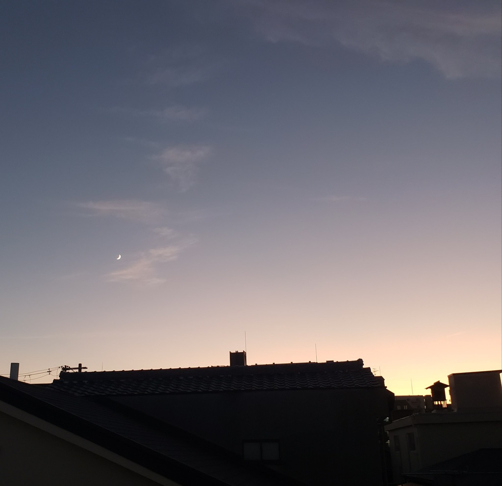 夕焼けの三日月