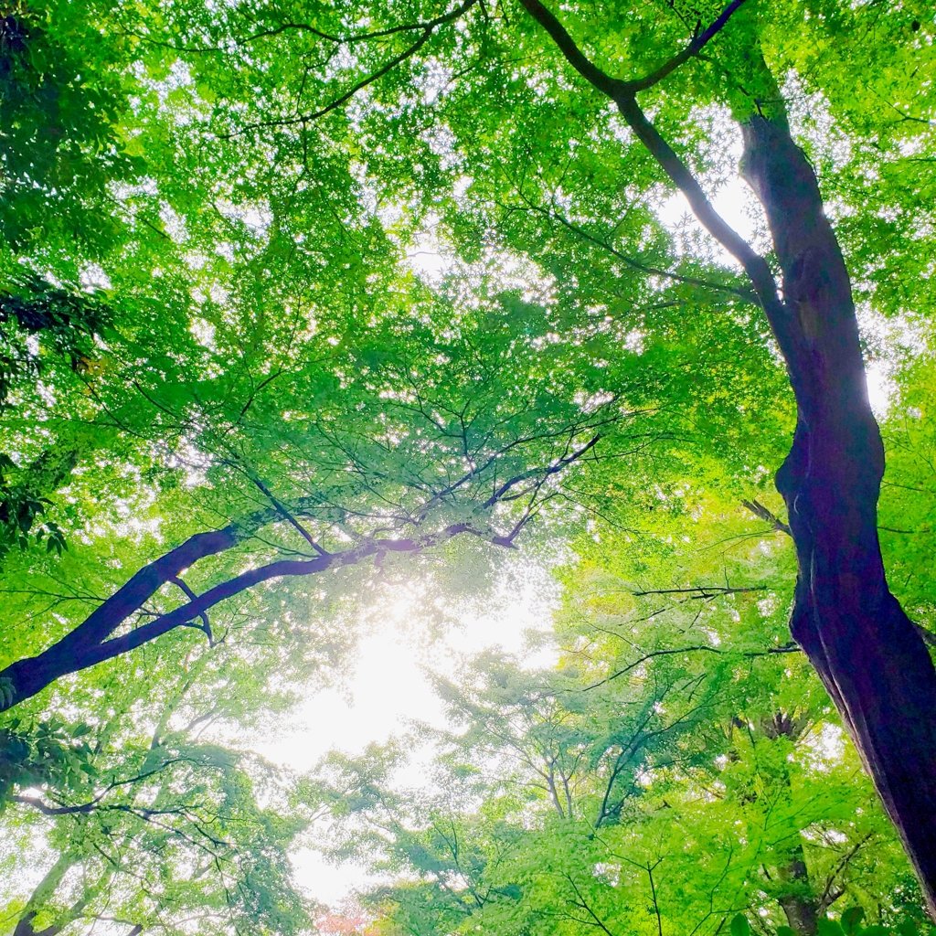 2025-11-02-21-24-53-724