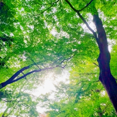 2025-11-02-21-24-53-724