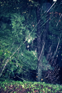 Waiting without Umbrellas