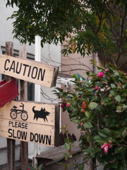 CAUTION,PLEASE SLOW DOWN