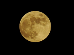 Golden Moon