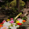 眺めてお清め花手水