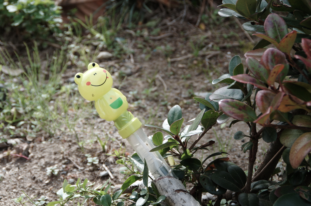 刺さったケロリは息子の仕業