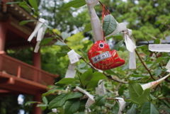 一年安鯛祈願中
