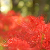 三途の川って紅いのか