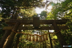 鳥居をくぐる