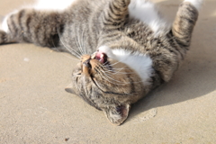 背中のかゆみを解消中
