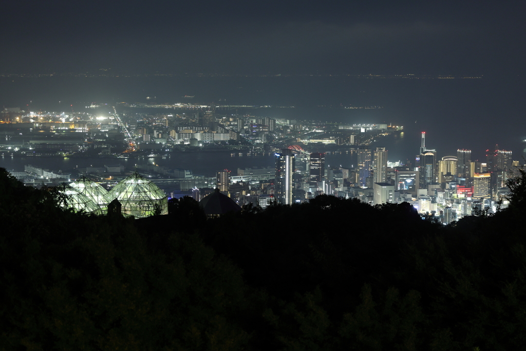 8月14日 布引ハーブ園 ８