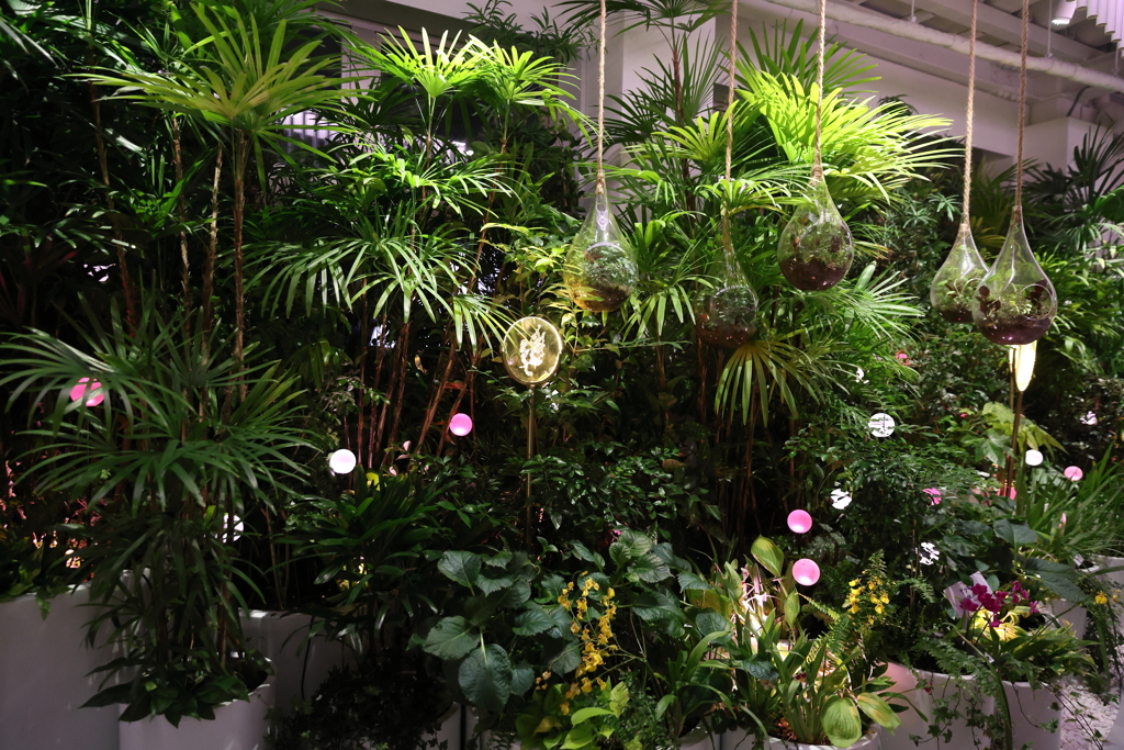 7月31日 大阪万博 12