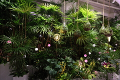 7月31日 大阪万博 12