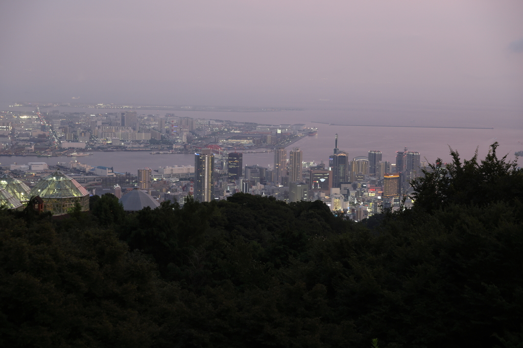 8月14日 布引ハーブ園 ６