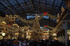 東京ディズニー・ランド 10