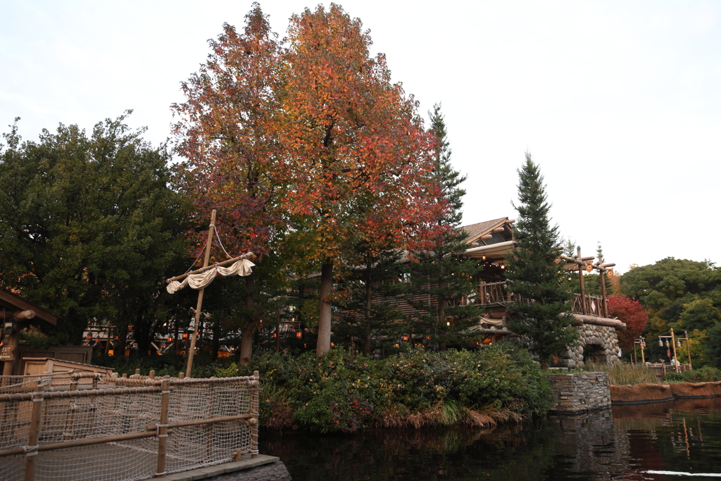 東京ディズニー・ランド ６