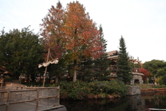 東京ディズニー・ランド ６