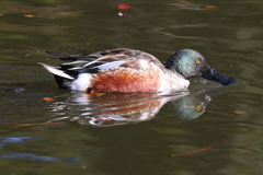さあ、食うぞ～