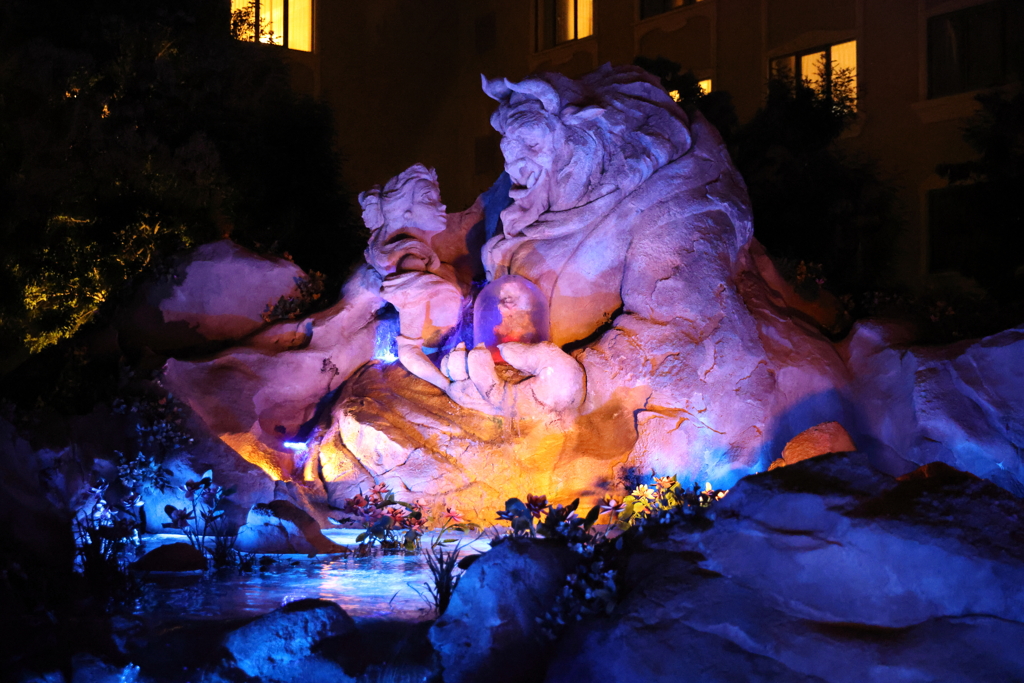 東京ディズニー・ランド 13