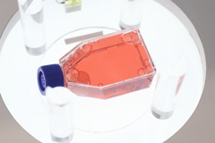 8月21日 大阪万博