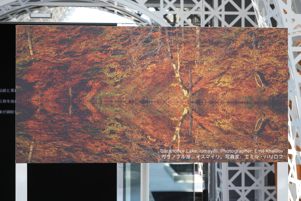 7月24日 大阪万博 ８