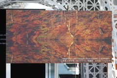 7月24日 大阪万博 ８