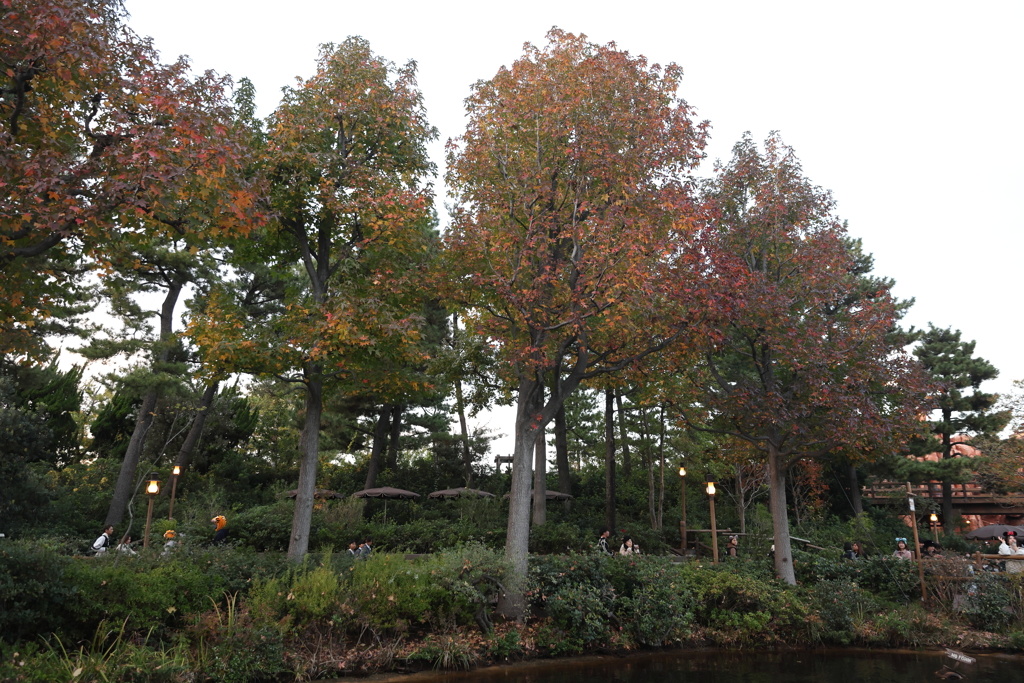 東京ディズニー・ランド ５