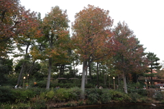 東京ディズニー・ランド ５