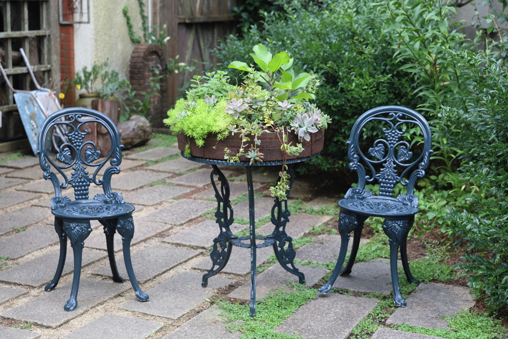 8月14日 布引ハーブ園 ２