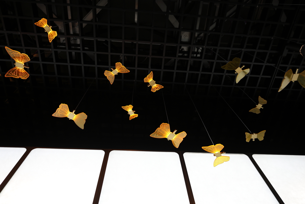 7月24日 大阪万博 22