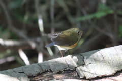 もう少し明るい場所でお願いします