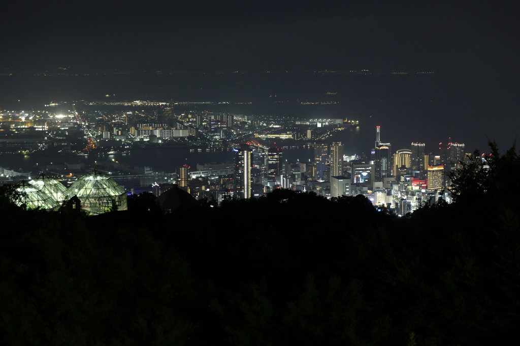 8月14日 布引ハーブ園 10