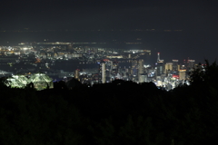 8月14日 布引ハーブ園 10