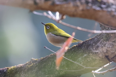 今年はありがとうございました。