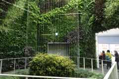 8月21日 大阪万博 ２