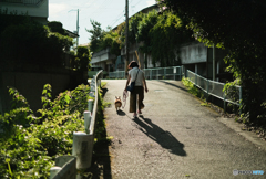 夕方の散歩